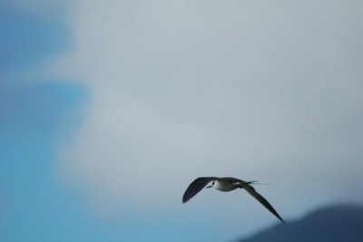 DSC_0116.JPG