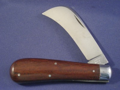 SW Hawkbill.jpg