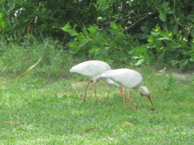 IMG_9495.JPG