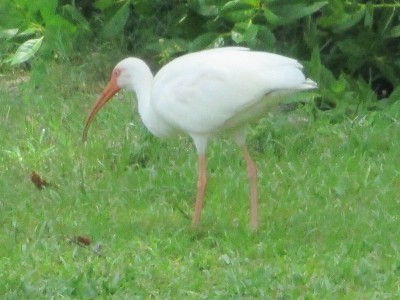 IMG_9492.JPG