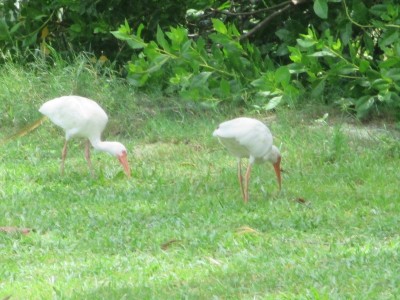 IMG_9494.JPG