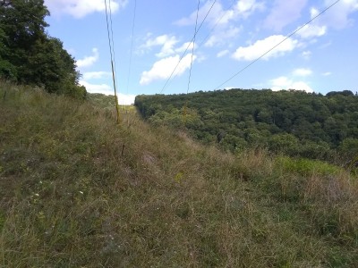 IMG_20220811_165847256.jpg