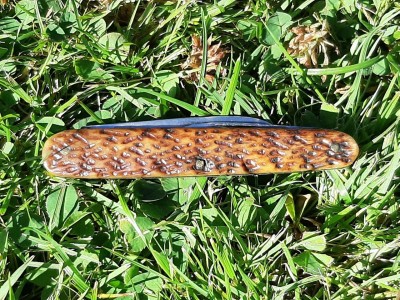 thumbnail_20220808_094531.jpg