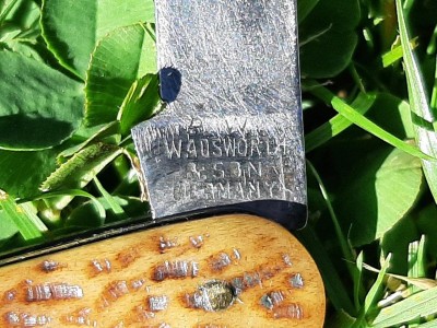 thumbnail_20220808_094517.jpg