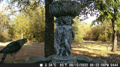 DSCF0444.JPG