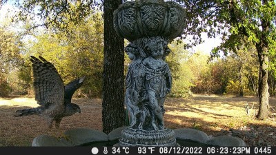 DSCF0445.JPG