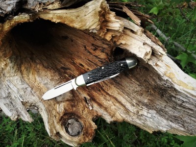 Aerial Cigar Jack on the trail.jpg