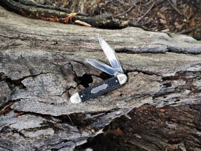 Colonial Cigar Jack On a log..jpg
