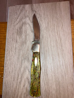 Western states folder