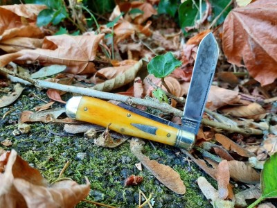 thumbnail_20220906_121204.jpg