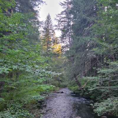 20220908_190016.jpg