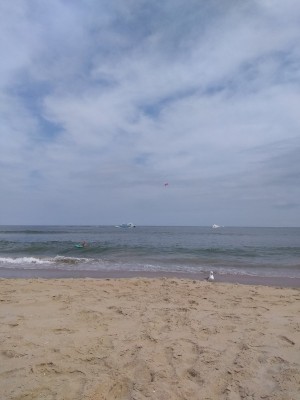 IMG_20220823_141232920.jpg