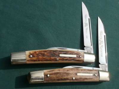Fight'n Rooster Stag Wharncliffe Congress