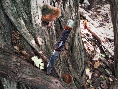 Ka Bar & fungi .jpg