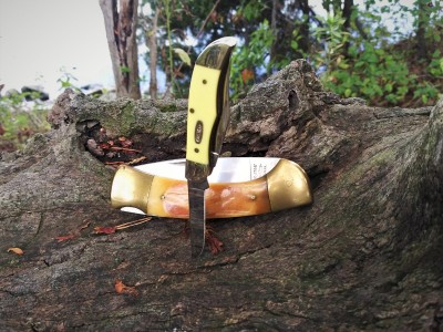 Case & Parker on a log.jpg