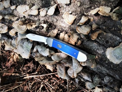 Blue G-10 Canoe with fungi.jpg
