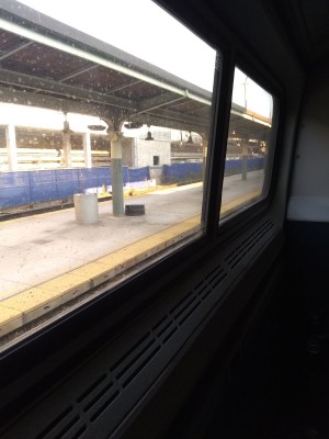 IMG_20220918_084419534.jpg