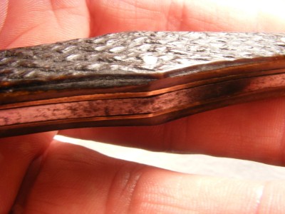 DSCF2312.JPG