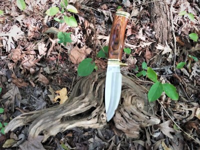 Vanguard on the trail.jpg