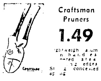 Sears Ad.