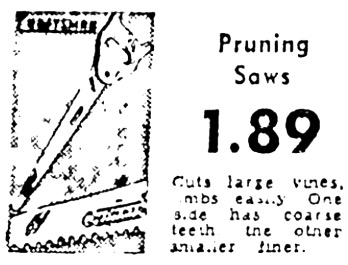 Sears Ad.