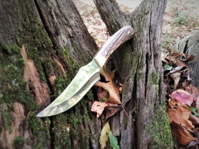 H & R Skinner stump-ed.jpg