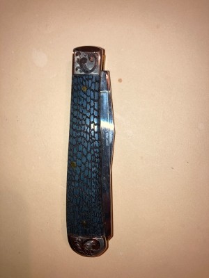 Case xx grey bone (alligator skin)