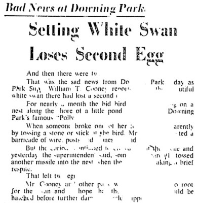 See The Article In The Above Picture #1.<br />Sorry About The Quality Of The Text.<br />Or Rather, The Lack Of Quality.