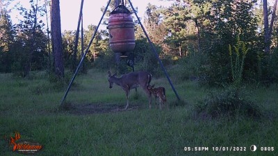 Time for a snack.
