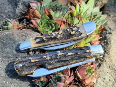 TL-29 Glennbad stag EZO spear -  Tim Britton Serpentine wharn