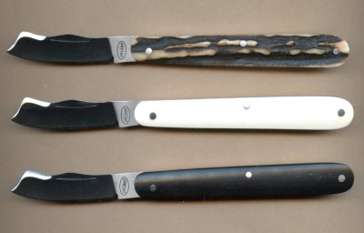John Lloyd budding knies 482.jpg