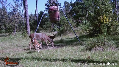 Looks like it was a fun morning!
