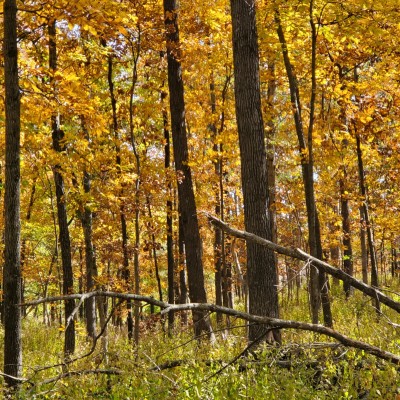 20221020_120844.jpg