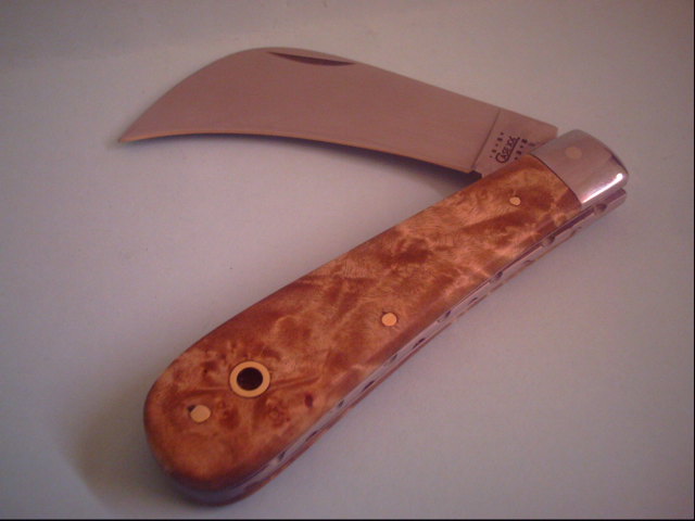 r c case hawkbill 002.jpg
