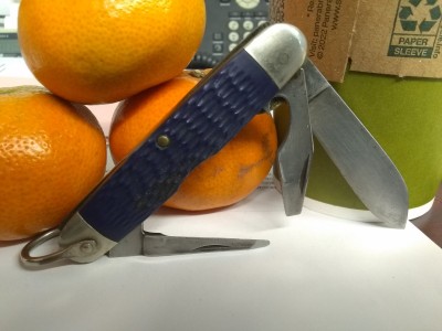 IMG_20221027_080355753.jpg