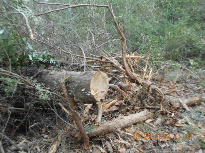 and we cut some more....