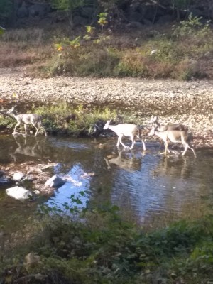 2022-10-30_09-33-41_-_hiking.jpg