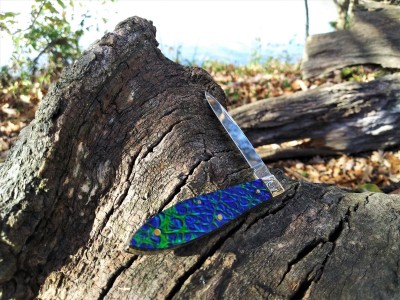Black Sea Tear Drop on the trail.jpg