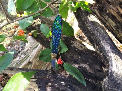 Black Sea Tear Drop on the trail II.jpg