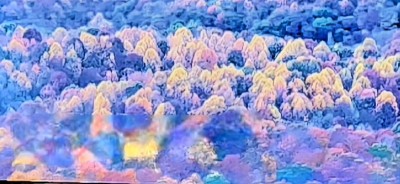 20221107_130206_remastered.jpg