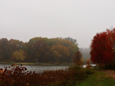 78AA02ED-F731-4EA3-998C-F3DED85F3625_1_201_a.jpeg