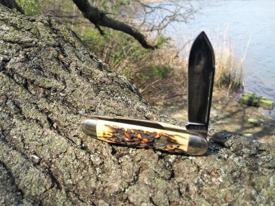 Queen Stag NKCA on the trail.jpg