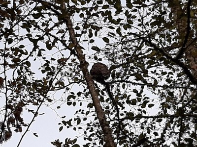 thumbnail_20221116_161932.jpg