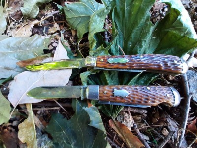 thumbnail_20221012_105316.jpg