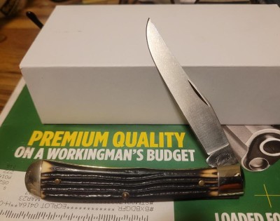 Queencutco.jpg