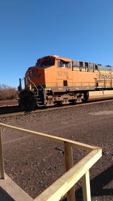 KIMG4794.JPG