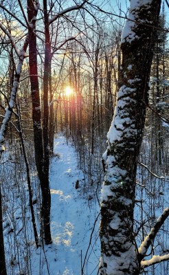 20221119_075443.jpg