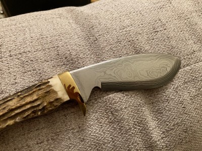 Bear mgc Damascus