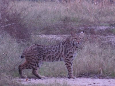 DSCN7951.JPG
