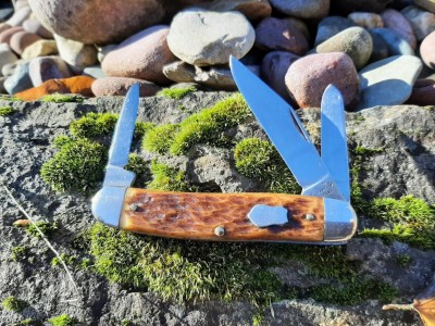 thumbnail_20221124_105713.jpg